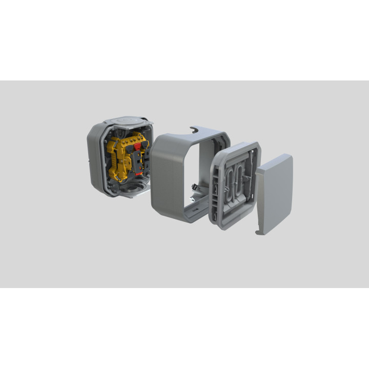 Legrand - Plexo L - Interrupteur témoin/lumineux avec voyant - 10A - 250V - IP55/IK08 - Composable - Gris - Réf : 069512L