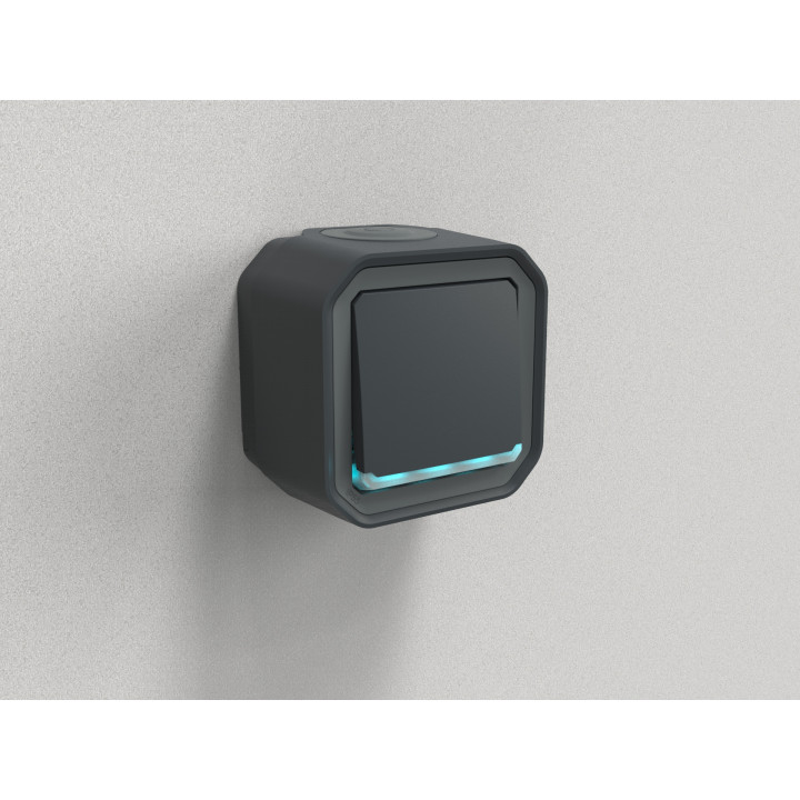 Legrand - Plexo - Interrupteur ou Va-et-Vient - témoin - 10A - 250V - Anthracite - IP55/IK08 - Réf : 069721L