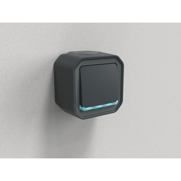 Legrand - Plexo - Interrupteur ou Va-et-Vient - témoin - 10A - 250V - Anthracite - IP55/IK08 - Réf : 069721L