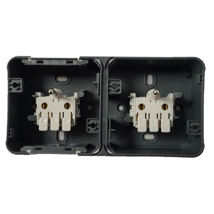 Eur'Ohm - OXXO - Double prise 2P+T horizontale - Saillie - IP55 - IK08 - Connexion automatique - Anthracite - Réf : 60841