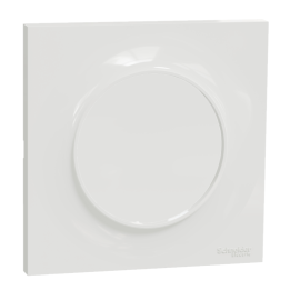 Schneider - Odace 2011 - Va-et-Vient + Plaque - Blanc - Ref. : S520204 + S520702