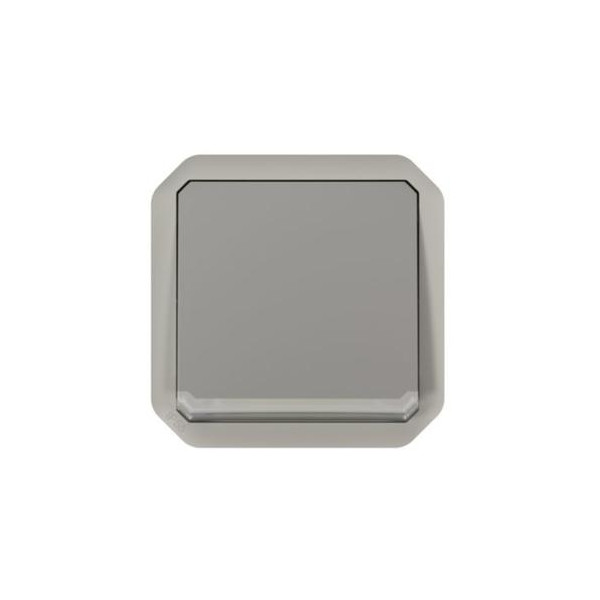 Legrand - Plexo L - Interrupteur témoin/lumineux avec voyant - 10A - 250V - IP55/IK08 - Composable - Gris - Ref : 069512L