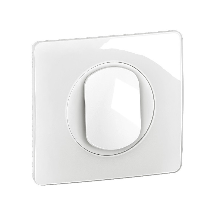 Legrand - Céliane 2024 - Permutateur complet blanc 1 poste - Réf : 080251 + CM0005 + CB0005 + CP0001