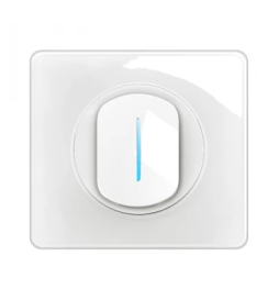 Legrand - Céliane 2024 - Poussoir avec voyant témoin complet blanc 1 poste - Réf : 080251 + CM0033 + CM0222 + CB0007 + CP0001