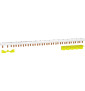 Schneider - Resi9 XP - Peigne Monobloc - 1P+N - 18 Modules - 63A - Réf : R9PXH218