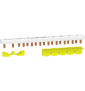 Schneider - Resi9 XP - Peigne Monobloc - 1P+N - 10 Modules - 63A - Réf : R9PXH210