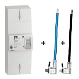 Legrand - Disjoncteur de branchement EDF 60A instantané + Embout EDF 60A 16mm2 - Réf. : 401051+embout