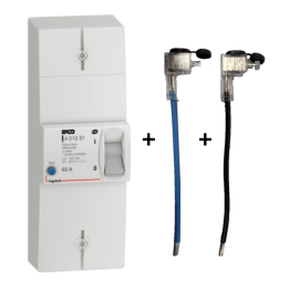 Legrand - Disjoncteur de branchement EDF 60A instantané + Embout EDF 60A 16mm2 - Réf. : 401051+embout