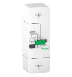 Schneider - Disjoncteur de branchement EDF 60A - Fixe - Instantané - 500mA - Bipolaire - Réf : R9FT660