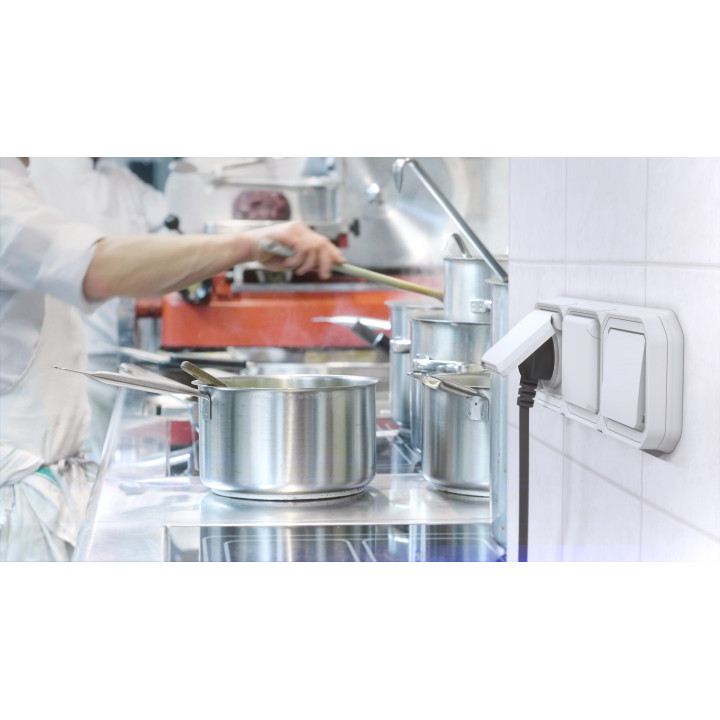 Legrand - Plexo L - Prise de courant 2P+T - 16A - Encastré - Blanc - IP55/IK08 - Réf : 069621L + 069692L