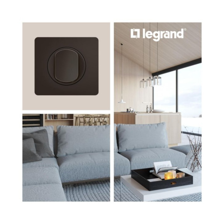 Legrand - Céliane 2024 - Plaque de finition Noir mat - 1 poste - Réf : CP0101