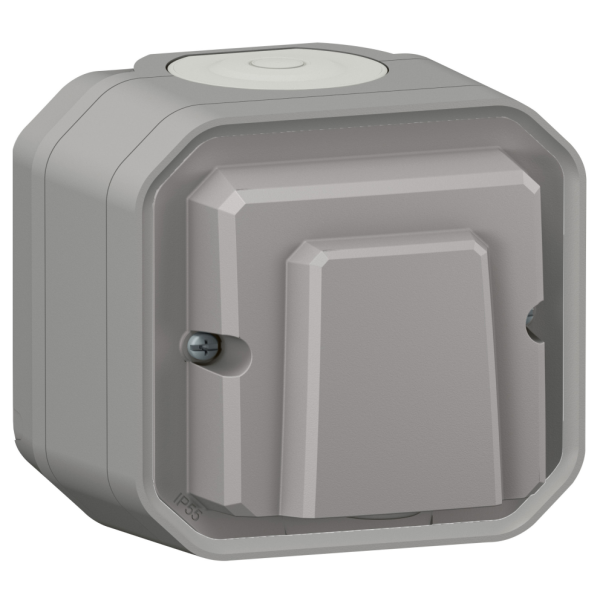 Legrand - Plexo L - Sortie de câble + Boîtier 1 poste - Saillie - Gris - Ref. : 069550L + 069651L
