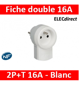 Fiche double fonction 250 V avec prise 2P