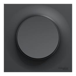 Schneider - Odace 2011 - Bouton Poussoir + Plaque - Anthracite - Ref. : S540204 + S540702
