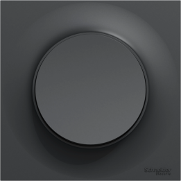 Schneider - Odace 2011 - Interrupteur/va-et-vient + Plaque - Anthracite - Ref. : S540204 + S540702