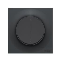 Schneider - Odace 2011 - Double Bouton Poussoir + Plaque - Anthracite - Ref. : S540216 + S540702
