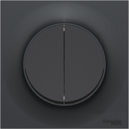 Schneider - Odace 2011 - Double Bouton Poussoir + Plaque - Anthracite - Ref. : S540216 + S540702