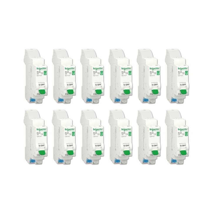 SCHNEIDER - LOT DE 12 DISJONCTEURS XE AUTO 20A - R9EFC620