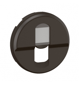 Legrand - Céliane 2024 - Enjoliveur pour prise simple RJ45 blindée catégorie 6A STP Grade 3 TV - Noir - Réf : CN0346