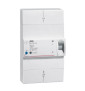 Legrand - Disjoncteur de branchement Enedis - 4P - 30/60A 500 MA Sélectif - Réf : 401013