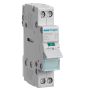 Hager - Interrupteur sectionneur 2P - 25A - 1M - Réf : SBN225