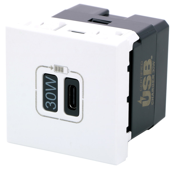 Legrand - Chargeur Simple USB Type-C - 3A - 30W Power Delivery - 2 Modules- Blanc - Mosaic - Réf : 077585L