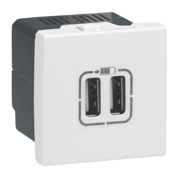 Legrand - Prise chargeur USB Type A 230V / 5V - 2 Ports - Réf : 278594L
