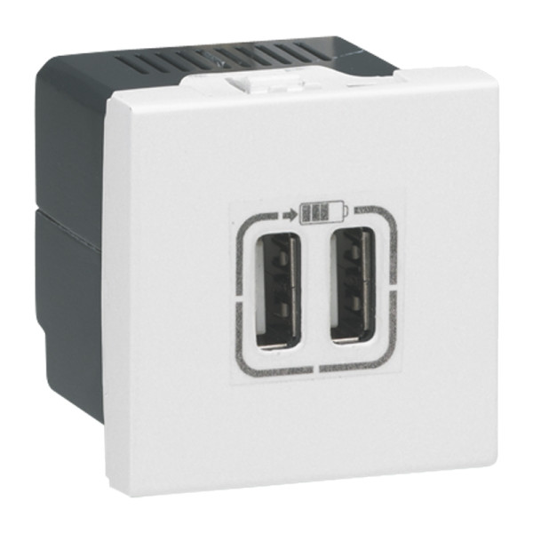 Legrand - Prise chargeur USB Type A 230V / 5V - 2 Ports - Réf : 278594L