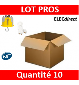 Legrand Batibox - Kit point de centre DCL BBC + Douille/Fiche SIB - 089377x10+11127x10