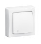 Legrand - Oteo - Transformeur simple 3 en 1 lumineux - Interrupteur/Va et vient - Poussoir - Blanc - Ref : 086017L