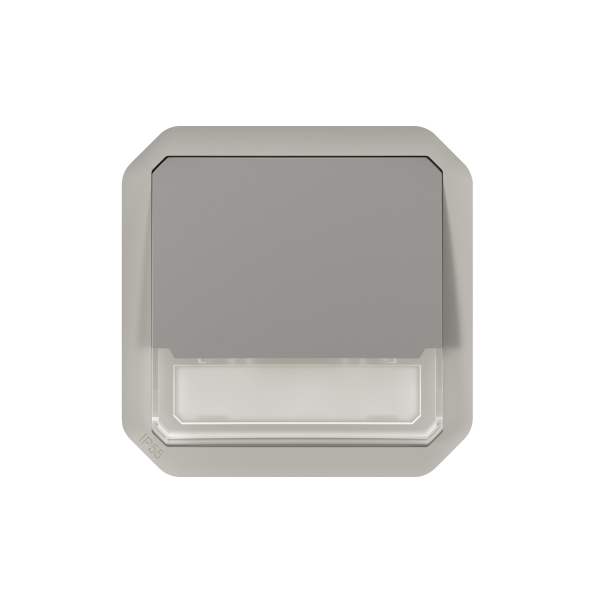 Legrand Plexo - Poussoir NO-NF lumineux porte-étiquette avec voyant - composable - gris - 10A - 250V - IP55/IK08 - Réf : 069544L