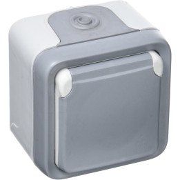 Legrand Plexo - Prise de courant 2P+T 16A 230V - IP55/IK07 - Réf : 069731