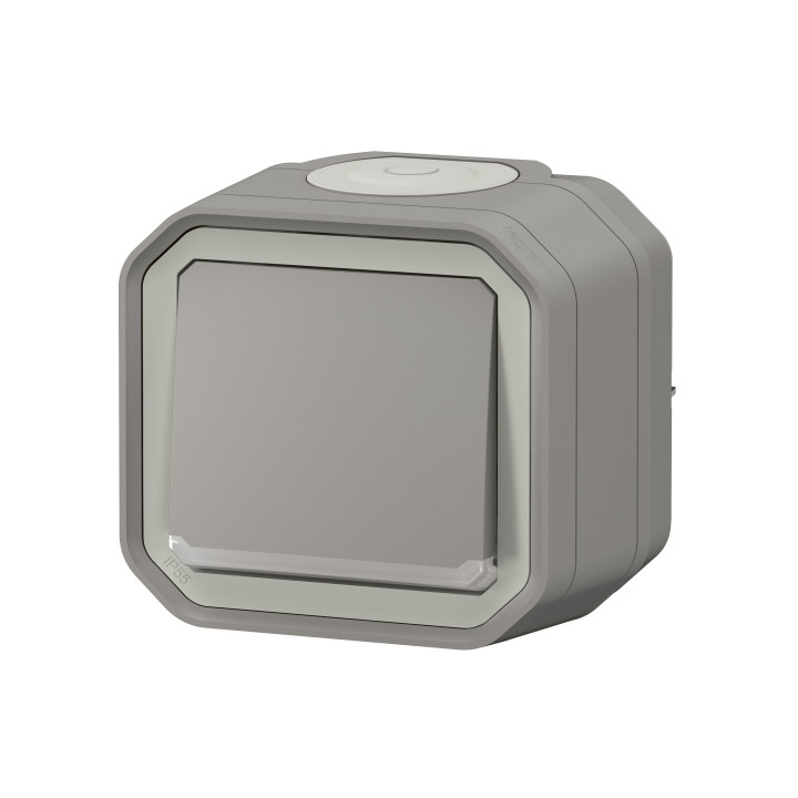 Legrand - Plexo - Bouton poussoir lumineux 10A - 250V - IP55/IK08 - Réf : 069722L