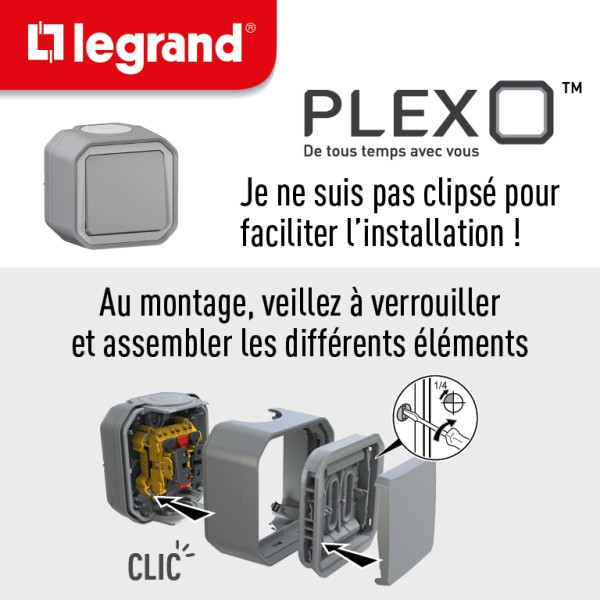Legrand - Plexo - Bouton poussoir lumineux 10A - 250V - IP55/IK08 - Réf : 069722L
