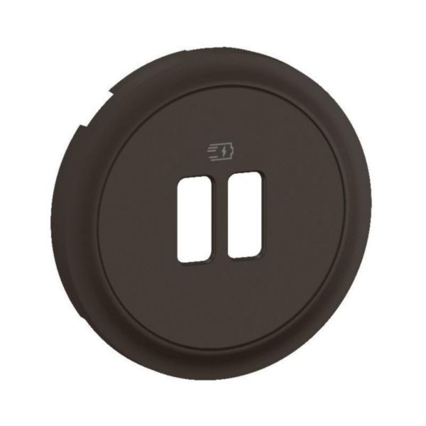 Legrand - Céliane 2024 - Enjoliveur pour prise double USB - Noir - Réf : CN0154