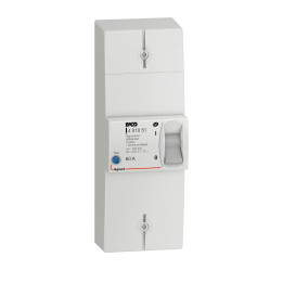Legrand - Disjoncteur de branchement EDF - bipolaire - 60A instantané - 500MA - Réf : 401051