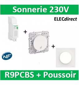 Schneider - Sonnerie modulaire RESI9 230V - 80dB + Poussoir + plaque Odace - R9PCBS+s520246+s520702