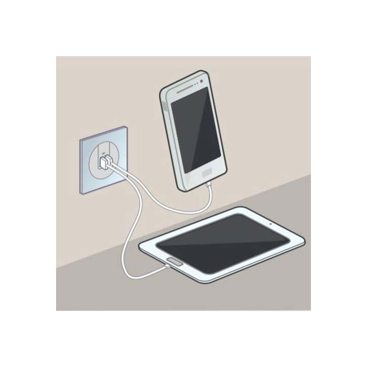 Legrand - Dooxie - Double chargeur USB Type-C - 3A - 15W - Blanc - Réf : 600345