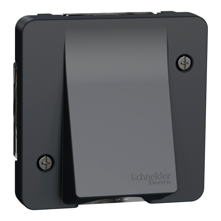 Schneider - Mureva - Sortie de Câble Complète Encastrée - Connexion AUTO - Gris - IP55 IK08 - Réf : LOT3066