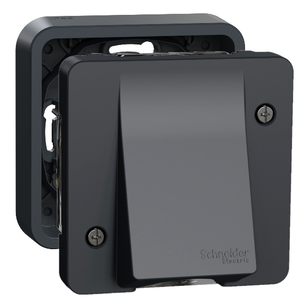 Schneider - Mureva - Sortie de Câble Complète Encastrée - Connexion AUTO - Gris - IP55 IK08 - Réf : LOT3066