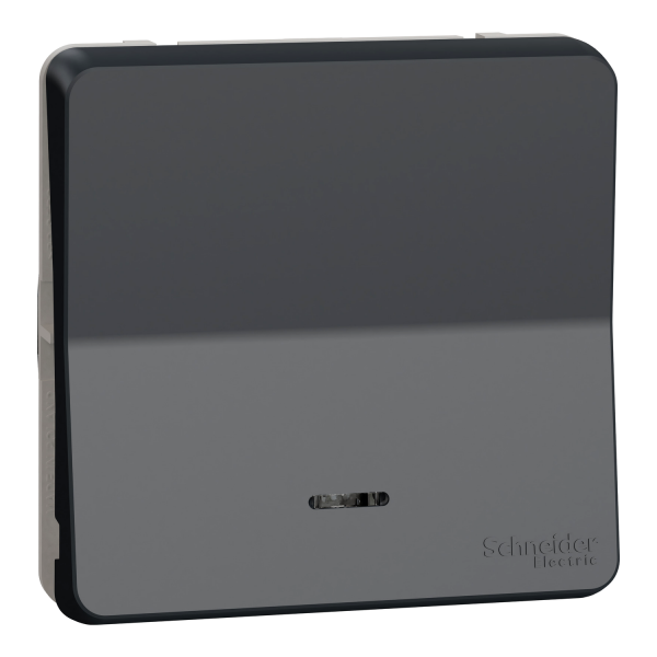 Schneider - Mureva Styl - Composable va et vient lumineux - IP55 - IK08 - con. auto - gris - Réf : MUR35025