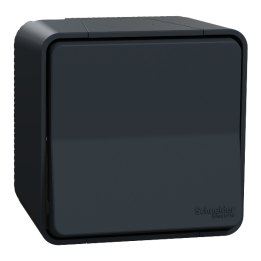 Schneider - Mureva Styl - Va et vient - saillie - IP55 - IK08 - connexion auto - gris - Réf : MUR35021