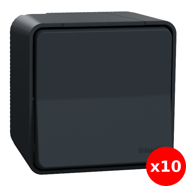 Schneider - Mureva Styl - Va et vient - saillie - IP55 - IK08 - connexion auto - gris - Réf : MUR35021