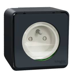 Schneider - Mureva Styl - Prise 2P+T - Saillie - IP55/IK08 - Connexion auto - Gris - Ref : MUR35031