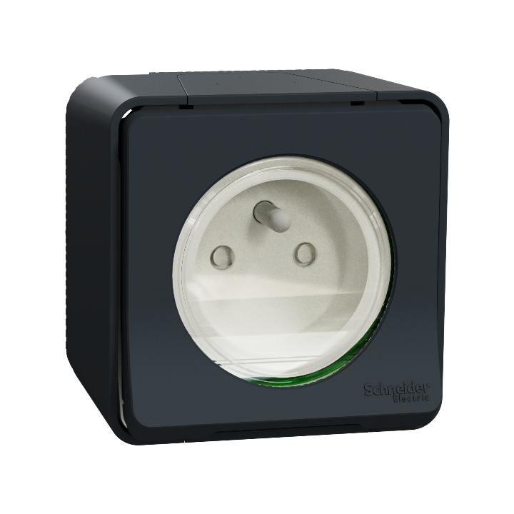 Schneider - Mureva Styl - Prise courant 2P+T - saillie - IP55 - IK08 - connexion auto - gris - Réf : MUR35031