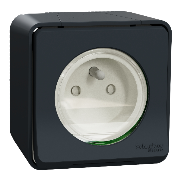 Schneider - Mureva Styl - Prise courant 2P+T - saillie - IP55 - IK08 - connexion auto - gris - Réf : MUR35031