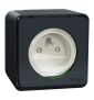 Schneider - Mureva Styl - Prise 2P+T - Saillie - IP55/IK08 - Connexion auto - Gris - Ref : MUR35031