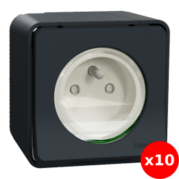 Schneider - Mureva Styl - Prise courant 2P+T - saillie - IP55 - IK08 - connexion auto - gris - Réf : MUR35031
