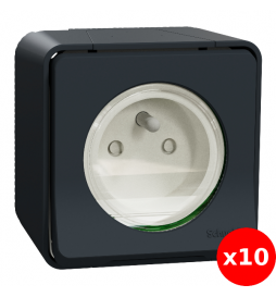 Schneider - Mureva Styl - Prise courant 2P+T - saillie - IP55 - IK08 - connexion auto - gris - Réf : MUR35031