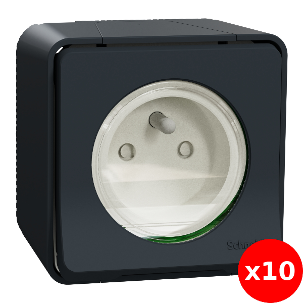 Schneider - Mureva Styl - Prise courant 2P+T - saillie - IP55 - IK08 - connexion auto - gris - Réf : MUR35031